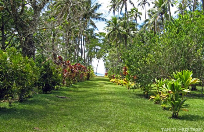 Allée principale d'Akamanu , Gambier © Tahiti Heritage