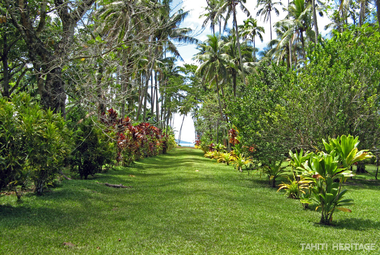 Allée principale d'Akamanu , Gambier © Tahiti Heritage