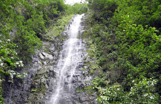 Haut de la cascade Vaieenui de Hanavave à Fatu Hiva.