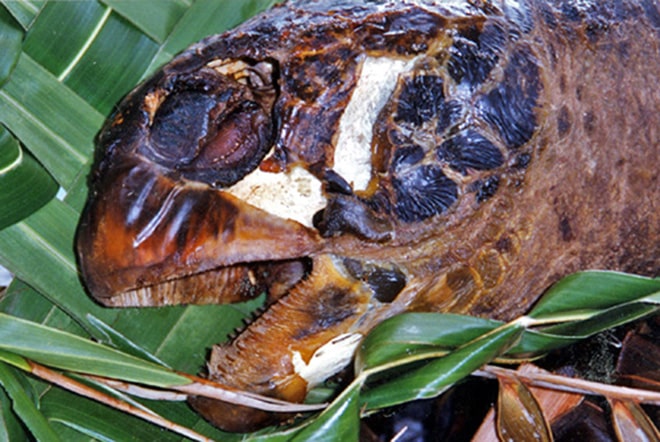 Tortue grillée © Tahiti Heritage