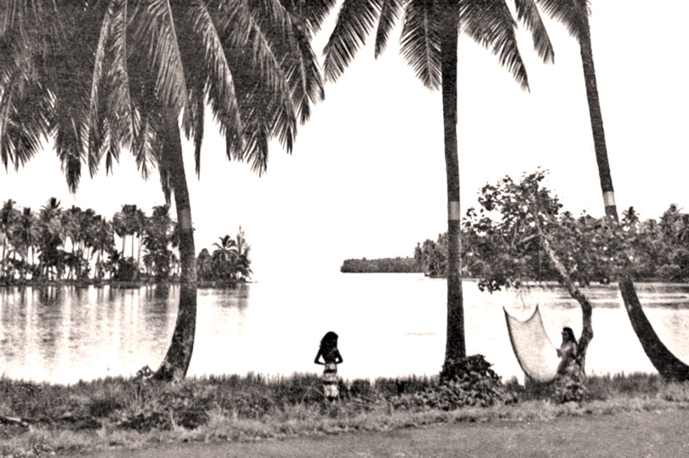 Pointe Tehoro à Mataiea en 1956. Photo Hollande