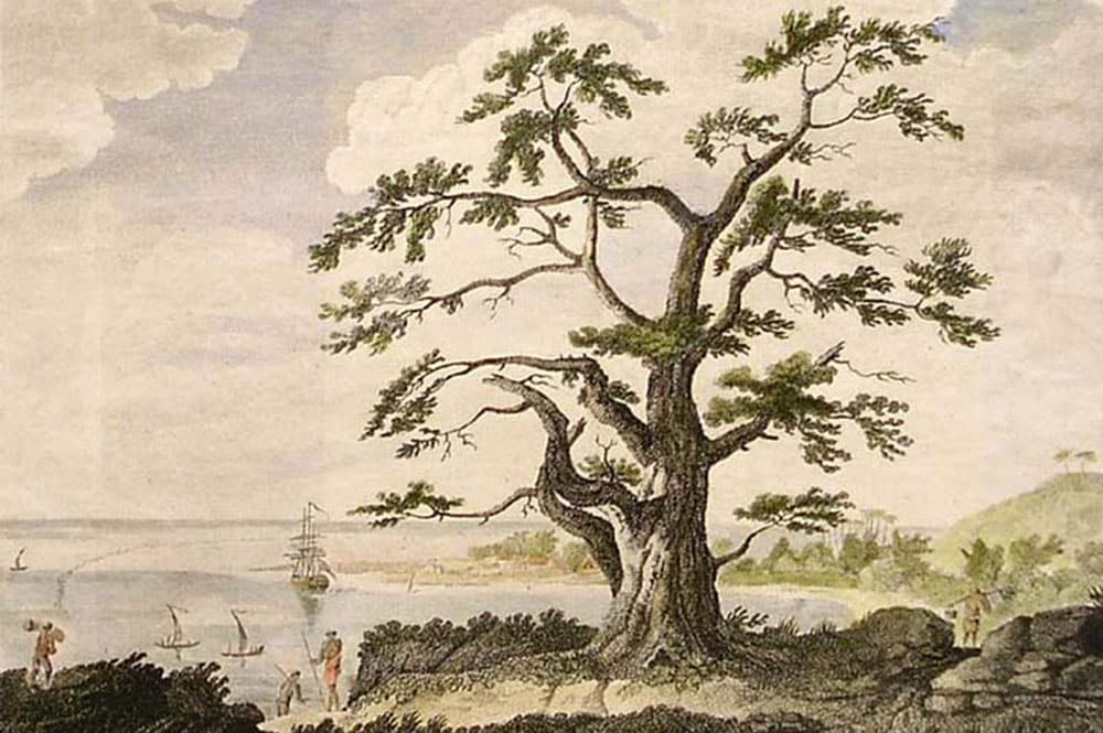 OnA view of Matavia Bay in Otaheite from One Tree Hill. Hand-coloured engraving after a drawing originally by Sydney Parkinson in John Hawkesworth Account of the voyages..for making discoveries in the Southern Hemisphere vol. II, 1773.