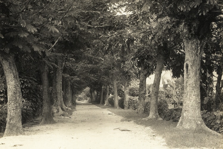 La rue principale de Rikitea en 1934. Photo Mangarevan Expedition