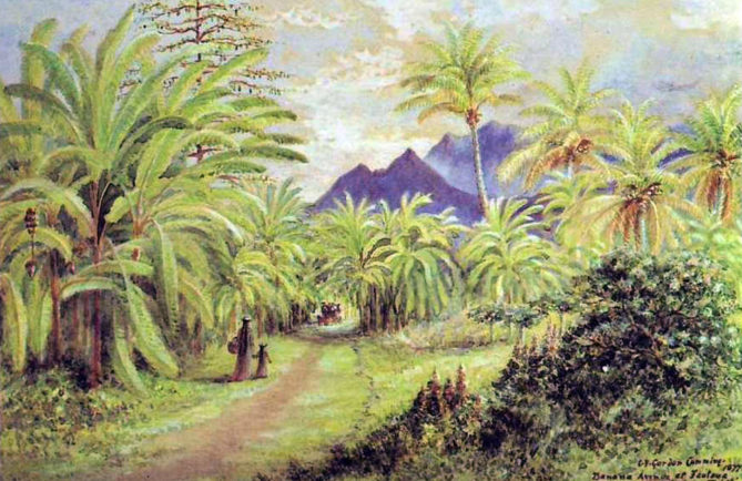 Banana av at Fautaua Papeete 1877. Constance Gordon Cumming