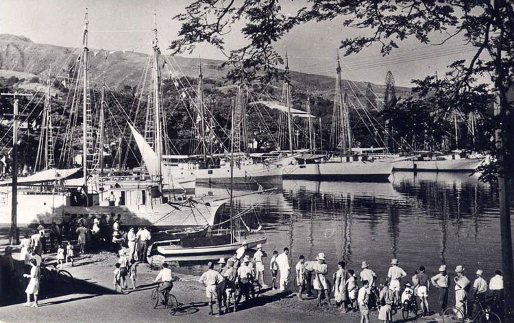 Scène animée au port vers 1950