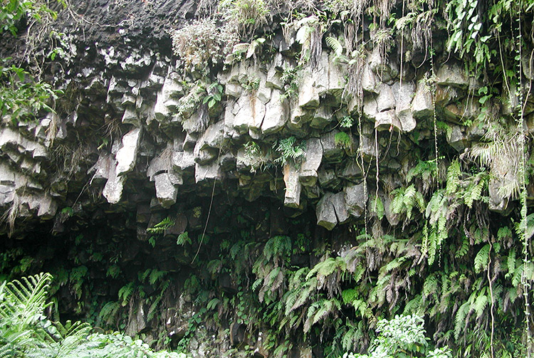 Orgues basaltiques de la bases vallée de Papenoo.
