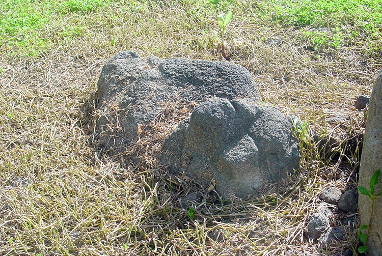Ofai Uri, la pierre en forme de chien de Papara © Tahiti Heritage