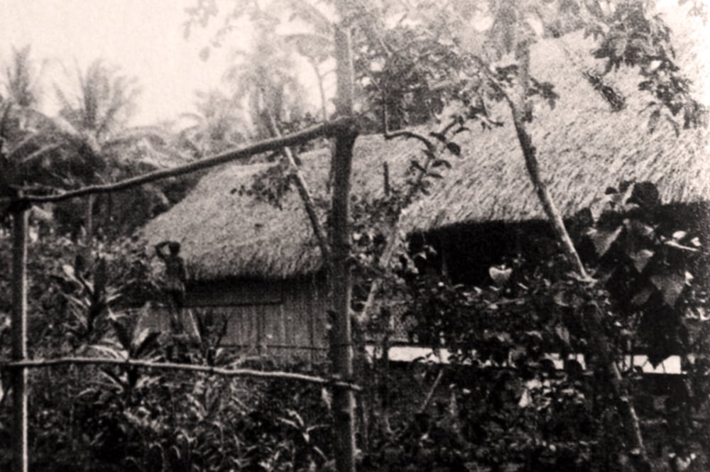 FLe Fare Atelier de Gauguin à Punaauia. Photo Agostini